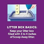 Scoop Away - Cat litter (19 kg)
