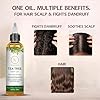 RV Organica Tea Tree Oil for Hair – 100% Pure & Natural | Tea Tree Oil for Dry Scalp, Split Ends & Hair | Blended with Natural Carrier Oils | Volumizing & Thickening | 4 fl oz