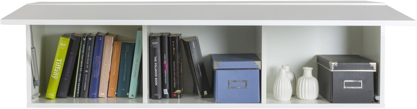 Composad Mundi Wall Cabinet open with books and decorative items