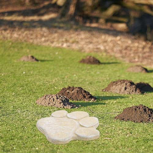 Piedra conmemorativa para mascotas resistente al aire libre LOLIPPYY 7