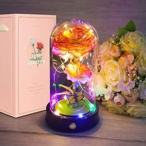 QUELIEN Pink Carnation in A Glass Dome LED Lights, Artificial Flower Carnation Light Up, Monther’s Day Gift, Gift for Her, Wife, Mom, Birthday Gift