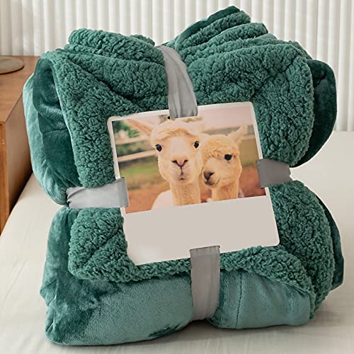 Duojidianzi ѕz uPbg 2~ Ђ| tl }CNt@Co[  n M g {A ӂӂ Gǂ ÓdC} @\ [΍ ې lGʗp (200*230cm(2),D) [sA