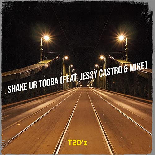 Shake Ur Tooba [Explicit]