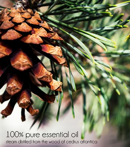 Aceite esencial Cedarwood Atlas 128 fl oz botella de plástico miniatura 5