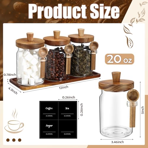 Image of Suclain 3 Pcs Glass Coffee Container Set, 20 oz, Acacia Brown