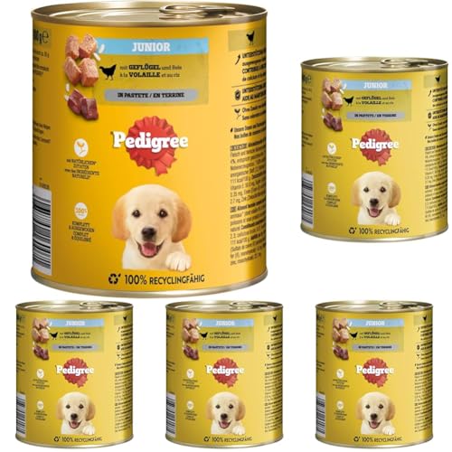 PEDIGREE DOGCARE CAN Wet (Poultry & Rice) Chunks IN LOAF JUNIOR 800G Single Standard (Packung mit 5)