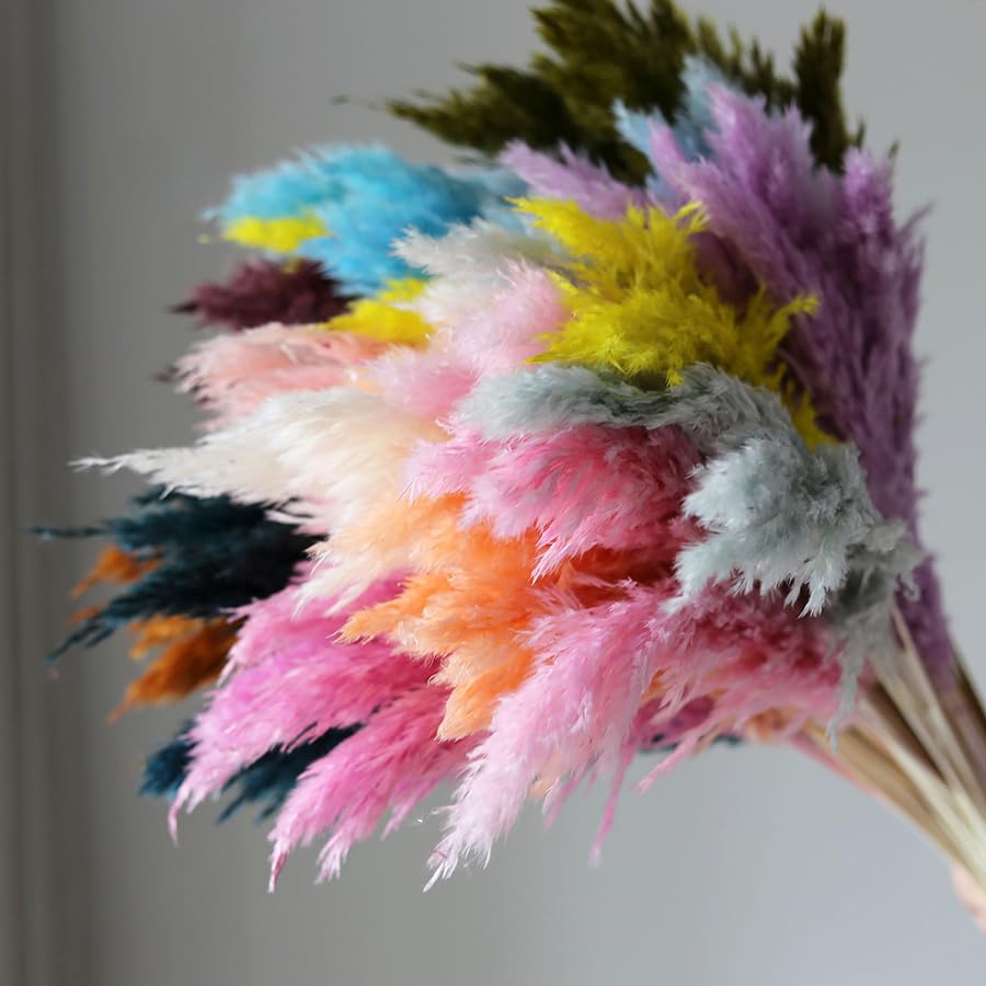 Ramo de Pasto Pampas Natural Seco 45 cm 4-5 piezas miniatura 5