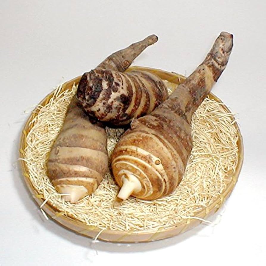 海老芋(えびいも)　3Lサイズ　10キロ 海老芋(えびいも) 3Lサイズ 10キロ 楽天市場】特大！旬の