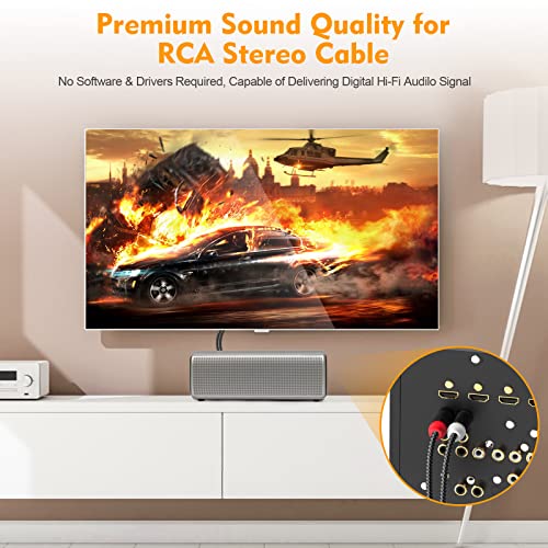 Hosongin Rca Cables 3.3Ft 2 Pack[Hi-Fi Sound, Nylon Braided, Shielded], 2-Male To 2-Male Rca Audio Stereo Subwoofer Cable Auxiliary Cord For Home Theater, Hdtv, Amplifiers, Hi-Fi Systems, Speakers #TOP2