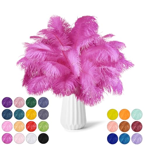 NEWONG 30 Pcs Hot Pink Ostrich Feathers, 13-16 in (33-40 cm)