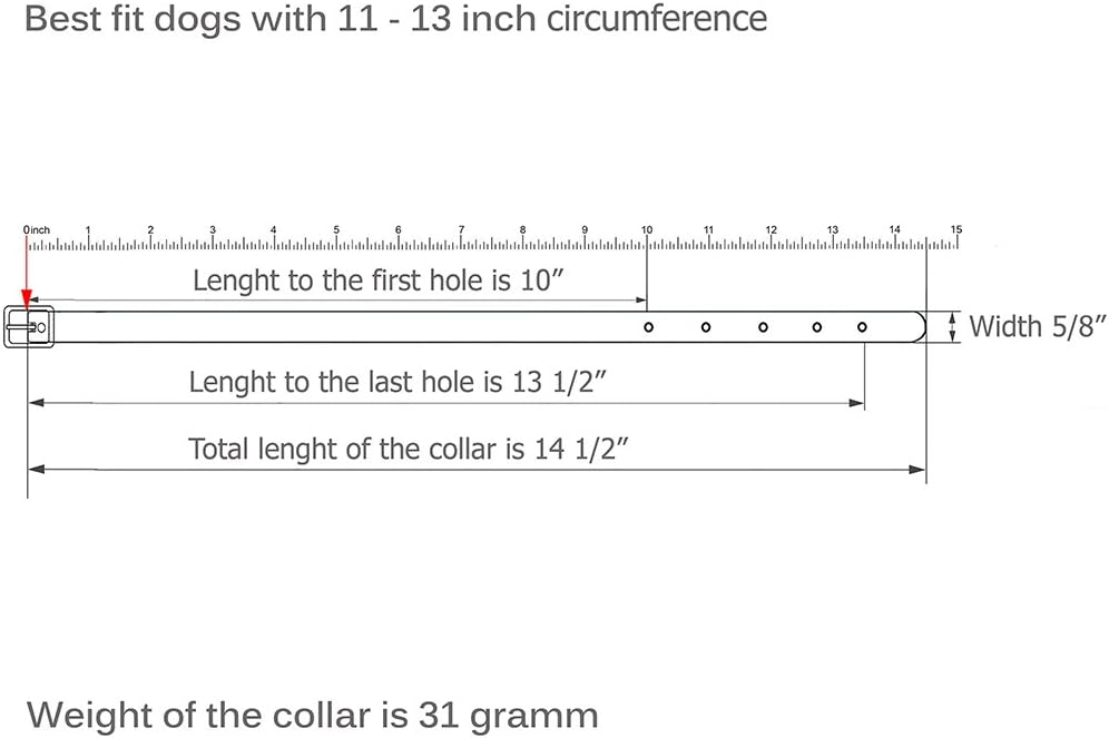 CollarDirect Leather Dog Collar 12 Colors Soft Padded Pet Collars Small Medium Large Puppy Green Black Pink White Red Blue Purple (Black, Size S Neck Fit 11"-13")