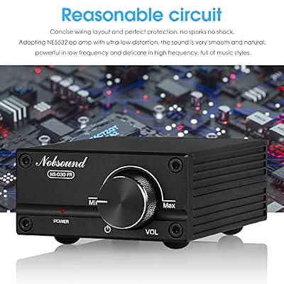 Nobsound 100W Full Frequency Mono Channel Digital Power Amplifier Audio Mini Amp (Black)