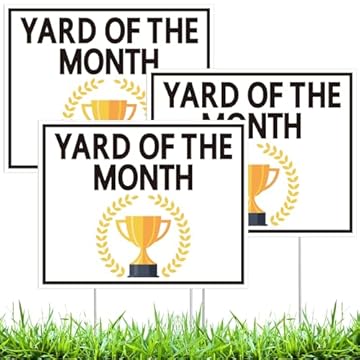 Best Month to Aerate Lawn: Secrets for a Lush Green Yard 2 best month to aerate lawn