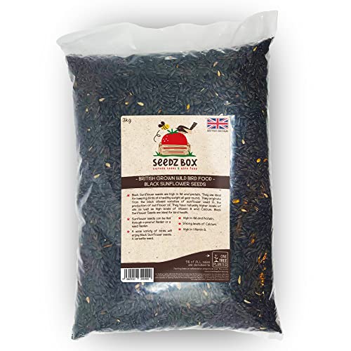 Sunflower Seeds Birds Food 3kg – Seedzbox Deluxe British Grown Black Sunflower Seeds For Wild Garden Birds – High in Fat Protein Vitamin B and Calcium – Vital for Bird Health – Wildlife News Shop - Vimarsana News