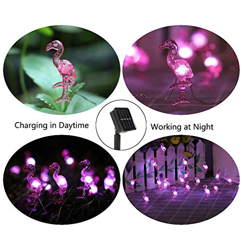 Hdnicezm Solar Outdoor Flamingo String Lights, 15.8 Ft 30 Led Solar Flamingo Fairy Lights 3 Modes Copper Wire Lights Waterproof For Garden Patio Gate Yard Party Wedding Indoor Bedroom (Cold White). #TOP2