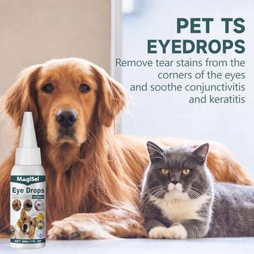 MagiSel Spezial Augentropfen für Hunde und Katzen 30 ml, Augentropfen für Hunde & Katzen mit kolloidalem Silber, Augentropfen Kolloidales Silber Hund, Augenpflege – Juckreiz, Reizung, Tränenflecken