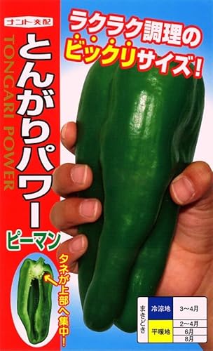 ナント種苗 ピーマン種子 とんがりパワー 20粒入り 甘いピーマン 肉厚でジューシー 苦みが少ない ジャンボピーマン 高収量 栽培簡単 家庭菜園向け 耐暑性あり 省力型品種 高温期でも安定生育 ピーマン嫌い克服 ピーマン初心者向け 野菜栽培初心者向けのサムネイル