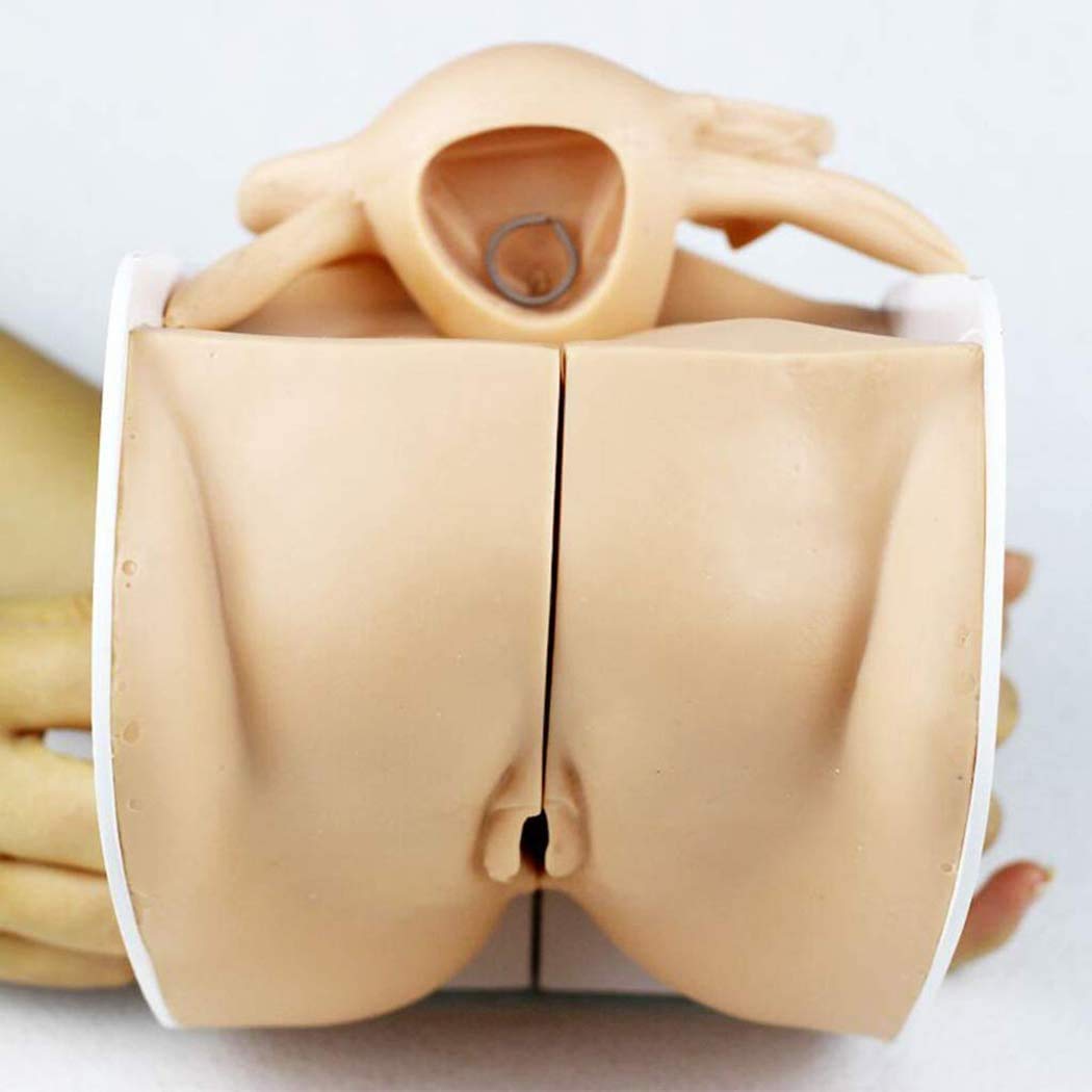Femminile Contraccezione Guidance Modello,Genitale Modello Anatomico Umano - Ginecologia Dimostrativo Contraccezione