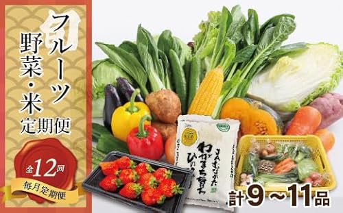 [定期便/年12回/毎月お届け]むなかた旬のお任せセット(野菜・フルーツ・お米/9〜11品)[ほたるの里]