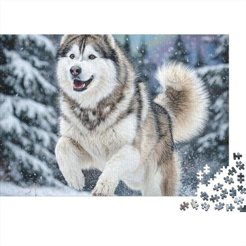 Puzzle de 1000 piezas para adultos y niños de Husky siberiano en la nieve de 70x50cm