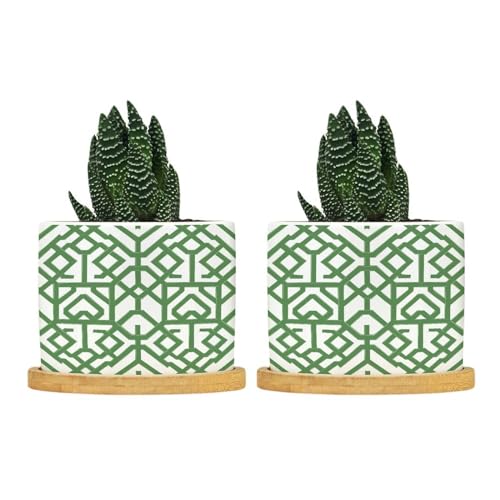 BRUYU5SE Grey Sage Green Century Ceramic Planter Planters for Indoor