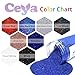 Ceya Holographic Ultra Fine Glitter Powder, 1.1LB/17.63OZ Laser Black Glitter 1/128' 0.008' 0.2mm Craft Bulk for Slime Resin Tumbler Jewelry Nails Painting Makeup Wedding Festival Decoration