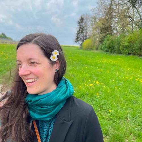 Chronicles: The Sound of Spring cover art