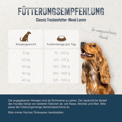 Lakefields Classic Hundefutter trocken | Lamm 60% | 1 kg | Getreidefreies Trockenfutter | Zutaten in Lebensmittelqualität | Kartoffeln, Blattspinat & Kräutern | Schonend gebacken