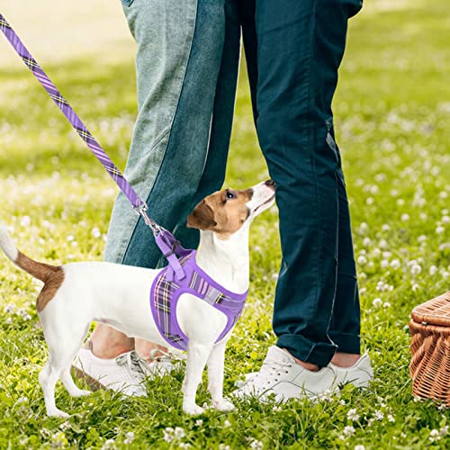 Pupteck Adjustable Pet Harness Collar And Leash Set Step In For Small Dogs Puppy And Cats Outdoor Training And Running, Soft Mesh Padded Reflective Vest Harness, Purple L #TOP7
