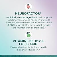 NEURIVA Memory 3D Brain Supplements for Memory and Focus, Vitamin B12 & B6, Folic Acid, 50 Count Capsules — image 4