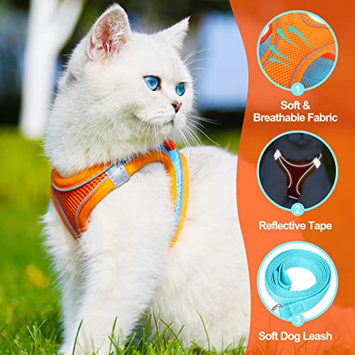 Pettorina e guinzaglio per camminare, guinzaglio