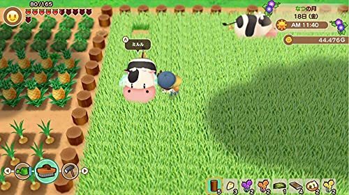 Story Of Seasons : Friends Of Mineral Town Xbox Series X - vue 3