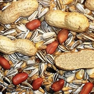 Maltbys' Stores 1904 Limited Squirrel Mixture 12.5kg Premium Wild Life Food Garden Seed Feed