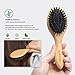 BESTOOL Hair Brush, Mini Hairbrush for Traveling Small Hair Brushes for Women men Kid, Boar & Nylon Bristle Brush for Wet/Dry Hair to Detangle and Enhance Shine & Health(Small)