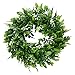 Coxeer 10In Artificial Green Leaves Wreath Greenery Hanging Boxwood Wreath for Front Door Wedding Wall Window Party Décor, Indoor/Outdoor Use (10In)
