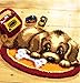 Beyond Your Thoughts 15 Model Dog Latch Hook Kit Rug DIY Needle Craft Shaggy Dog010 20 by 15 Inch