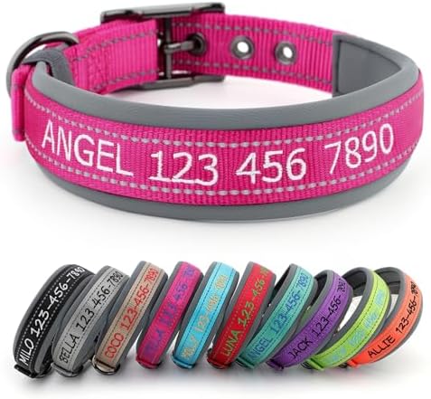 Personalized Dog Collar, Embroidered Name & Phone Number, Custom ...