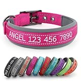 APakBak Personalized Dog Collar, Embroidered Name & Phone Number, Custom Reflective Nylon Pet Collar, Adjustable with Soft Neoprene Padding and Metal Buckle for Small Medium Large Dogs