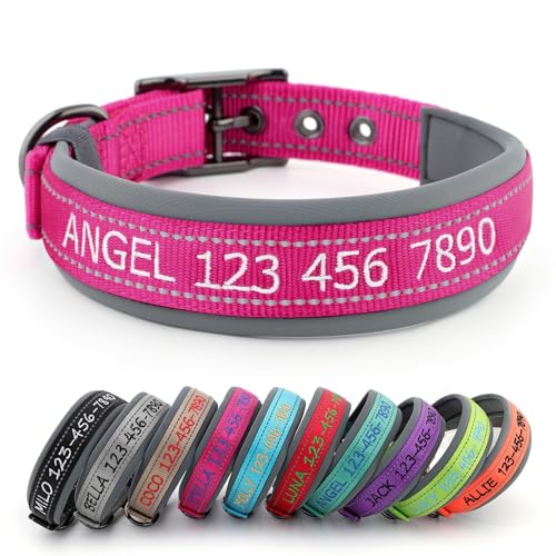 APakBak Custom Reflective Nylon Dog Collar with Name & Phone