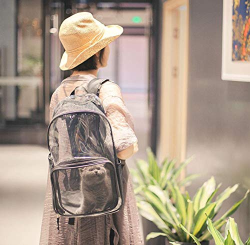 Sac à dos pour animal de compagnie avec coque transparente rigide