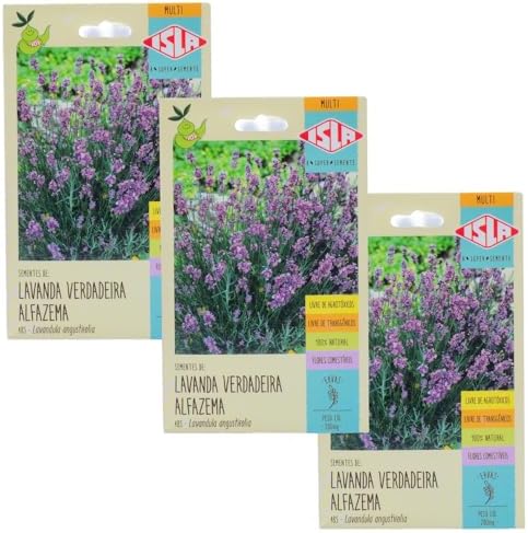 Kit 3 Sementes Lavanda Verdadeira Alfazema ISLA Linha Multi Plani...
