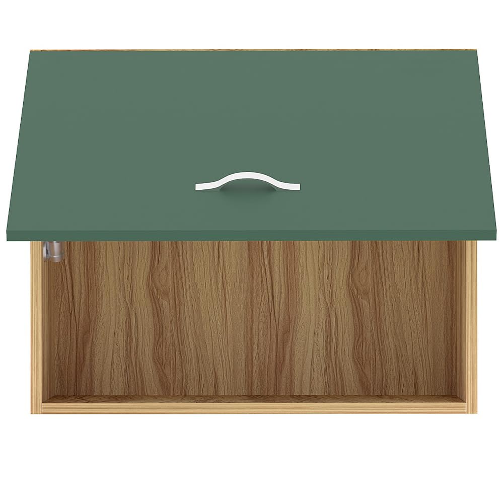 Shally Dogan Pensile da Cucina, Sopracappa, Armadio in Legno Armadietto Multiuso da Muro a Ribalta Spazioso, Dimensioni 60 x 32 x 49H cm (Verde)