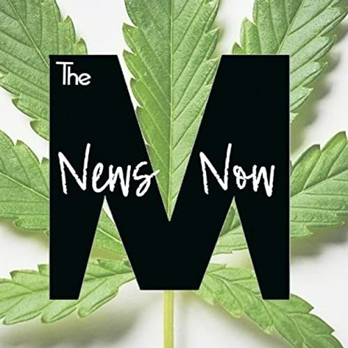 The M News Now cover art