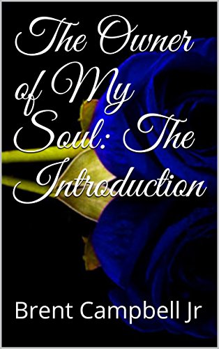 The Owner of My Soul: The Introduction (English Edition)