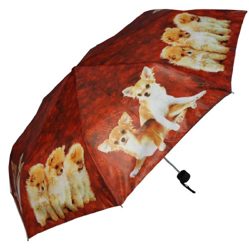 Pealra Chihuahua And Spitz Super Mini Umbrella #TOP1