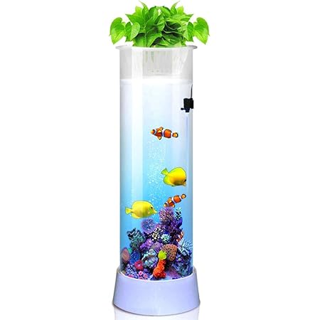 cylindrical fish tank