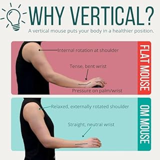 Ergodriven Om Vertical Ergonomic Mouse | Wireless: Bluetooth & 2.4G | Rechargeable, Optical, 4 DPI Levels, 5 Custom Buttons | for PC, Mac, Laptop, Computer | Silent Click | Copy/Paste Function