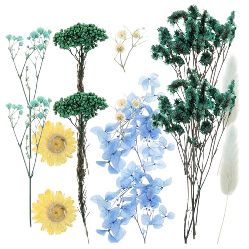 Flores Naturales Secas Prensadas para Manualidades Alipis miniatura 1