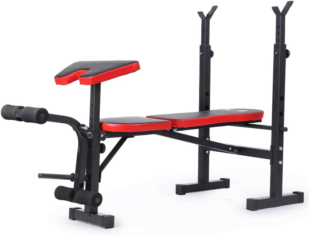 CCSU Professional Dumbbell Bench for Indoor Exercise,Multifunctional Foldable Strength Training Bench,Olympic Weight Benches for Full Body Workout A : Sports & Outdoors