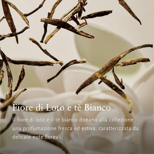 RITUALS The Ritual of Karma – Summer Trio – Crema solar facial FP30, loción corporal FP30 y aceite iluminador – Set de regalo con té blanco, loto sagrado y ginkgo biloba - imagen 4